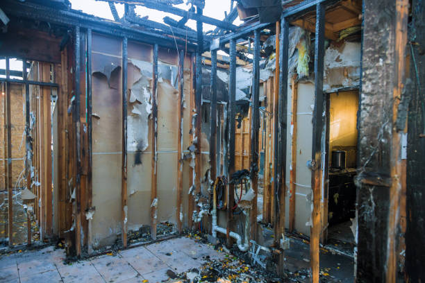 Professional Odor Removal technician working in Mathews, VA